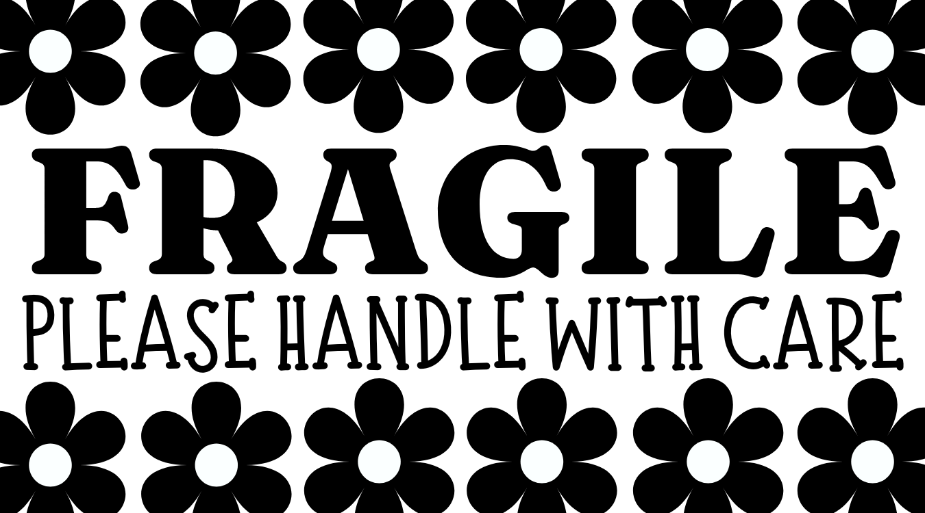 Fragile Please Handle With Care Sticker Pack (Rectangle)